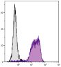 BALB/c mouse bone marrow cells were stained with Rat Anti-Mouse CD11b-BIOT (SB Cat. No. 1561-08) followed by Streptavidin-FITC (SB Cat. No. 7100-02).