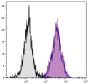 C3H/He mouse splenocytes were stained with Mouse Anti-Mouse H-2Dk-PE (SB Cat. No. 1914-09).
