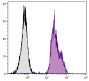 Chicken peripheral blood lymphocytes were stained with Mouse Anti-Chicken β<sub>2</sub>-Microglobulin-FITC (SB Cat. No. 8355-02).