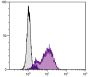 Human peripheral blood granulocytes were stained with Mouse Anti-Human CD10-FITC (SB Cat. No. 9541-02).