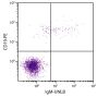 Human peripheral blood lymphocytes were stained with Mouse Anti-Human IgM-UNLB (SB Cat. No. 9022-01) and Mouse Anti-Human CD19-PE (SB Cat. No. 9340-09) followed by Goat Anti-Mouse IgG<sub>3</sub>, Human ads-FITC (SB Cat. No. 1100-02).