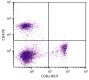C57BL/6 mouse splenocytes were stained with Rat Anti-Mouse CD8α-BIOT (SB Cat. No. 1550-08) and Rat Anti-Mouse CD4-PE (SB Cat. No. 1540-09) followed by Streptavidin-FITC (SB Cat. No. 7100-02).