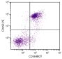 BALB/c mouse splenocytes were stained with Rat Anti-Mouse CD38-BIOT (SB Cat. No. 1635-08) and Rat Anti-Mouse CD45R-PE (SB Cat. No. 1665-09) followed by Streptavidin-FITC (SB Cat. No. 7100-02).