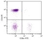 Chicken peripheral blood lymphocytes were stained with Mouse Anti-Chicken CD8α-FITC (SB Cat. No. 8220-02) and Mouse Anti-Chicken CD4-PE (SB Cat. No. 8210-09).