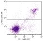 BALB/c mouse splenocytes were stained with Rat Anti-Mouse CD11b-PE/CY7 (SB Cat. No. 1561-17) and Rat Anti-Mouse Ly-6G/Ly-6C-PE (SB Cat. No. 1900-09).