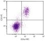 C57BL/6 mouse splenocytes were stained with Rat Anti-Mouse CD5-PE (SB Cat. No. 1546-09) and Rat Anti-Mouse CD3ε-FITC (SB Cat. No. 1535-02).