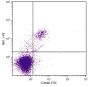 C57BL/6 mouse splenocytes were stained with Mouse Anti-Mouse NK1.1-PE (SB Cat. No. 1805-09) and Rat Anti-Mouse CD49b-FITC (SB Cat. No. 1806-02).