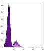 Human peripheral blood lymphocytes were stained with Mouse Anti-Human CD74-FITC (SB Cat. No. 9775-02).