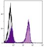 BALB/c mouse splenocytes were stained with Hamster Anti-Mouse CD79b-UNLB (SB Cat. No. 1830-01) followed by Mouse Anti-Hamster IgG<sub>1</sub>-PE (SB Cat. No. 1940-09).
