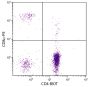 Chicken peripheral blood lymphocytes were stained with Mouse Anti-Chicken CD4-BIOT (SB Cat. No. 8210-08) and Mouse Anti-Chicken CD8α-PE (SB Cat. No. 8220-09) followed by Streptavidin-FITC (SB Cat. No. 7100-02).