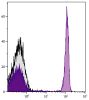 Human peripheral blood lymphocytes were stained with Mouse Anti-Human CD4-PE/CY7 (SB Cat. No. 9522-17).