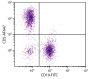 BALB/c mouse splenocytes were stained with Rat Anti-Mouse CD5-AF647 (SB Cat. No. 1547-31) and Rat Anti-Mouse CD19-FITC (SB Cat. No. 1575-02).