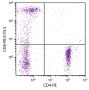 Human peripheral blood lymphocytes were stained with Mouse Anti-Human CD8-PE/CY5.5 (SB Cat. No. 9536-16) and Mouse Anti-Human CD4-PE (SB Cat. No. 9522-09).