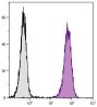 BALB/c mouse splenocytes were stained with Rat Anti-Mouse CD45-UNLB (SB Cat. No. 1660-01) followed by Goat Anti-Rat IgG(H+L), Mouse ads-FITC (SB Cat. No. 3050-02)