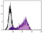 PMA and ionomycin stimulated human endothelial cell line HUV-EC-C was stained with Mouse Anti-Human CD62E/CD62P-PE (SB Cat. No. 9500-09).