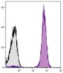 Human peripheral blood lymphocytes were stained with Mouse Anti-Human CD45-AF700 (SB Cat. No. 9625-27).