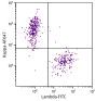CD19+ human B-lymphocytes were stained with Goat F(ab')<sub>2</sub> Anti-Human Kappa, Mouse ads-AF647 (SB Cat. 2063-31) and Goat F(ab')<sub>2</sub> Anti-Human Lambda, Mouse ads-FITC (SB Cat. No. 2073-02).