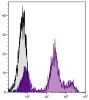 C57BL/6 mouse bone marrow cells were stained with Rat Anti-Mouse Ly-6C-PACBLU (SB Cat. No. 1760-26).