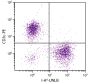 BALB/c mouse splenocytes were stained with Mouse Anti-Mouse I-Ad-UNLB (SB Cat. No. 1901-01) and Rat Anti-Mouse CD3ε-PE (SB Cat. No. 1535-09) followed by Goat Anti-Mouse IgG<sub>2a</sub>, Human ads-FITC (SB Cat. No. 1080-02).