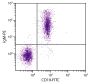 BALB/c mouse splenocytes were stained with Goat Anti-Mouse IgM-PE (SB Cat. No. 1021-09S) and Rat Anti-Mouse CD19-FITC (SB Cat. No. 1575-02).