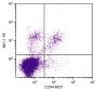 C57BL/6 mouse splenocytes were stained with Rat Anti-Mouse CD94-BIOT (SB Cat. 1809-08) and Mouse Anti-Mouse NK1.1-PE (SB Cat. No. 1805-09) followed by Streptavidin-FITC (SB Cat. No. 7100-02).