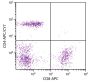 Human peripheral blood lymphocytes were stained with Mouse Anti-Human CD4-APC/CY7 (SB Cat. No. 9522-19) and Mouse Anti-Human CD8-APC (SB Cat. No. 9536-11).
