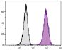 Human T cell leukemia cell line Jurkat was intracellularly stained with Mouse Anti-Human CD107b-AF647 (SB Cat. No. 9840-31).