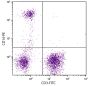 Human peripheral blood monocytes and lymphocytes were stained with Mouse Anti-Human CD14-PE (SB Cat. No. 9560-09) and Mouse Anti-Human CD3-FITC (SB Cat. No. 9515-02).
