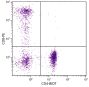 Human peripheral blood lymphocytes were stained with Mouse Anti-Human CD4-BIOT (SB Cat. No. 9522-08) and Mouse Anti-Human CD8-PE (SB Cat. No. 9536-09) followed by Streptavidin-FITC (SB Cat. No. 7100-02).