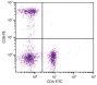 Human peripheral blood lymphocytes were stained with Mouse Anti-Human CD8-PE (SB Cat. No. 9536-09S) and Mouse Anti-Human CD4-FITC (SB Cat. No. 9522-02).