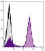 Human peripheral blood lymphocytes were stained with Mouse Anti-Human CD3-APC/CY7 (SB Cat. No. 9515-19).