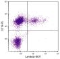 BALB/c mouse splenocytes were stained with Goat Anti-Mouse Lambda-BIOT (SB Cat. No. 1060-08) and Rat Anti-Mouse CD19-PE (SB Cat. No. 1575-09) followed by Streptavidin- FITC (SB Cat. No. 7100-02)