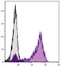 Human peripheral blood lymphocytes were stained with Mouse Anti-Human CD5-UNLB followed by Goat Anti-Mouse IgG<sub>2a</sub>, Human ads-FITC (SB Cat. No. 1080-02).