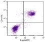 BALB/c mouse splenocytes were stained with Rat Anti-Mouse Kappa-FITC (SB Cat. No. 1170-02S) and Rat Anti-Mouse CD19-PE (SB Cat. No. 1575-09).
