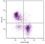 BALB/c mouse splenocytes were stained with Rat Anti-Mouse CD38-AF488 (SB Cat. No. 1640-30) and Rat Anti-Mouse CD3ε-PE (SB Cat. No. 1535-09).