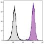Human peripheral blood granulocytes were stained with Mouse Anti-Human CD11b-SPRD (SB Cat. No. 9546-13).