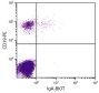 Human peripheral blood lymphocytes were stained with Goat Anti-Human IgA-BIOT (SB Cat. 2050-08) and Mouse Anti-Human CD19-PE (SB Cat. No. 9340-09) followed by Streptavidin-FITC (SB Cat. No. 7100-02).