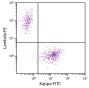 CD19+ human B-lymphocytes were stained with Goat F(ab')<sub>2</sub> Anti-Human Kappa, Mouse ads-FITC (SB Cat. 2063-02) and Goat F(ab')<sub>2</sub> Anti-Human Lambda, Mouse ads-PE (SB Cat. No. 2073-09).
