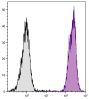 DBA/2 mouse splenocytes were stained with Mouse Anti-Mouse H-2Dd-PE (SB Cat. No. 1912-09).