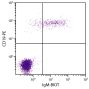 Human peripheral blood lymphocytes were stained with Mouse Anti-Human IgM-BIOT (SB Cat. No. 9022-08) and Mouse Anti-Human CD19-PE (SB Cat. No. 9340-09) followed by Streptavidin-FITC (SB Cat. No. 7100-02).