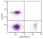 BALB/c mouse splenocytes were stained with Rat Anti-Mouse CD8α-PE/CY7 (SB Cat. No. 1550-17) and Rat Anti-Mouse CD4-PE (SB Cat. No. 1540-09).
