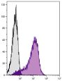 Chicken thymocytes were stained with Mouse Anti-Chicken MCAM-UNLB (SB Cat. No. 8385-01) followed by Goat Anti-Mouse IgG<sub>2b</sub>, Human ads-PE (SB Cat. No. 1090-09S).