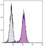 Human T cell leukemia cell line Jurkat was intracellularly stained with Mouse Anti-Human CD107a-BIOT (SB Cat. No. 9835-08) followed by Streptavidin-FITC (SB Cat. No. 7100-02).