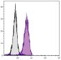 Human T cell leukemia cell line Jurkat was intracellularly stained with Mouse Anti-Human CD107b-SPRD (SB Cat. No. 9840-13).