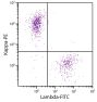CD19+ human B-lymphocytes were stained with Goat Anti-Human Kappa-PE (SB Cat. 2060-09) and Goat F(ab')<sub>2</sub> Anti-Human Lambda, Mouse ads-FITC (SB Cat. No. 2073-02).