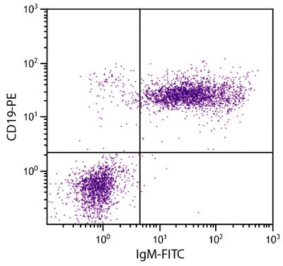 BALB/c mouse splenocytes were stained with Goat Anti-Mouse IgM-FITC (SB Cat. No. 1021-02) and Rat Anti-Mouse CD19-PE (SB Cat. No. 1575-09).