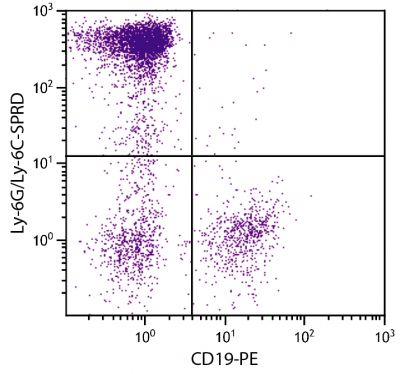 BALB/c mouse bone marrow cells were stained with Rat Anti-Mouse Ly-6G/ Ly-6C-SPRD (SB Cat. No. 1900-13) and Rat Anti-Mouse CD19-PE (SB Cat. No. 1575-09).