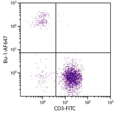 Chicken peripheral blood lymphocytes were stained with Mouse Anti-Chicken Bu-1-AF647 (SB Cat. No. 8395-31) and Mouse Anti-Chicken CD3-FITC (SB Cat. No. 8200-02).