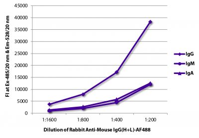 FLISA plate was coated with purified mouse IgG, IgM, and IgA.  Immunoglobulins were detected with Rabbit Anti-Mouse IgG(H+L)-AF488 (SB Cat. No. 6170-30).