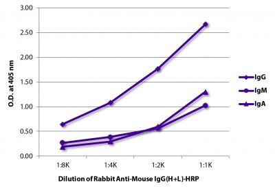 ELISA plate was coated with purified mouse IgG, IgM, and IgA.  Immunoglobulins were detected with serially diluted Rabbit F(ab')<sub>2</sub> Anti-Mouse IgG(H+L)-HRP (SB Cat. No. 6120-05).